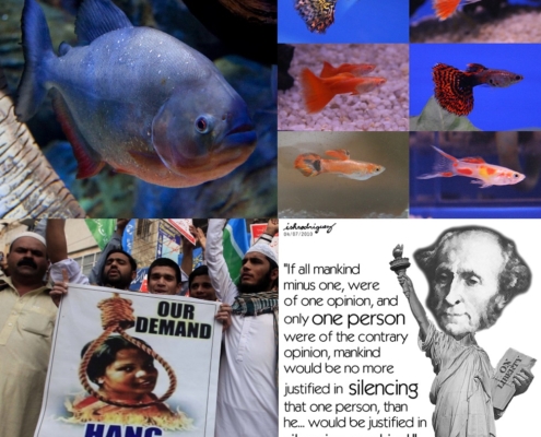 Two bad mixes: piranhas and guppies; Muslims and free speech